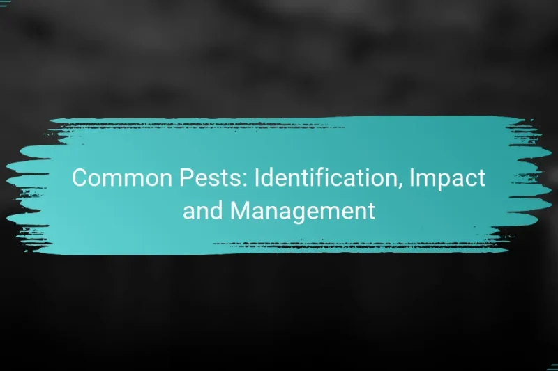 Common Pests: Identification, Impact and Management