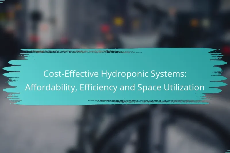 Cost-Effective Hydroponic Systems: Affordability, Efficiency and Space Utilization