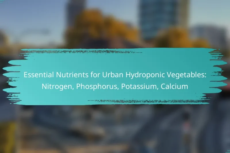 Essential Nutrients for Urban Hydroponic Vegetables: Nitrogen, Phosphorus, Potassium, Calcium