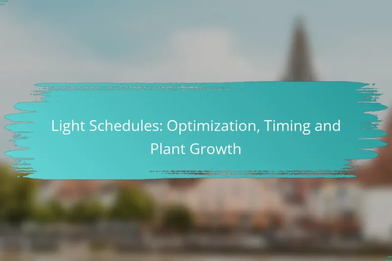 Light Schedules: Optimization, Timing and Plant Growth