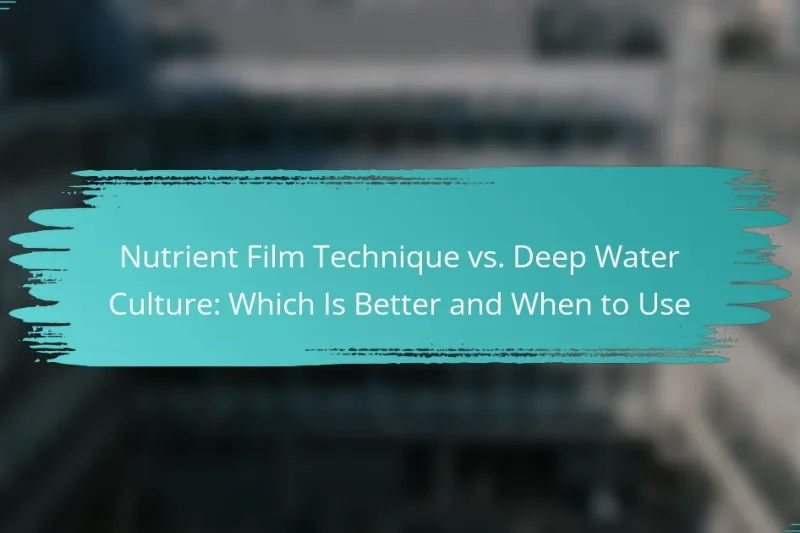 Nutrient Film Technique vs. Deep Water Culture: Which Is Better and When to Use