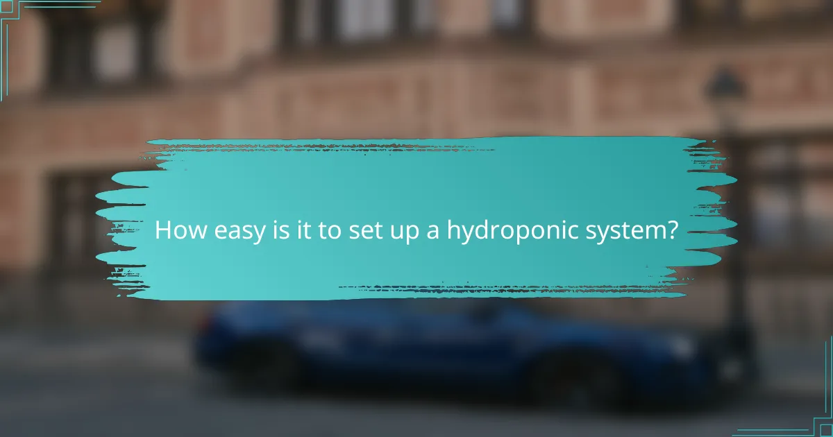 How easy is it to set up a hydroponic system?