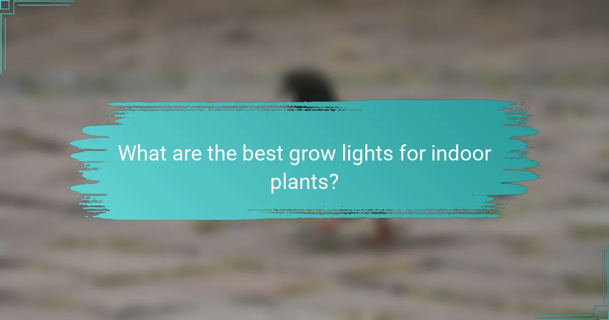 What are the best grow lights for indoor plants?