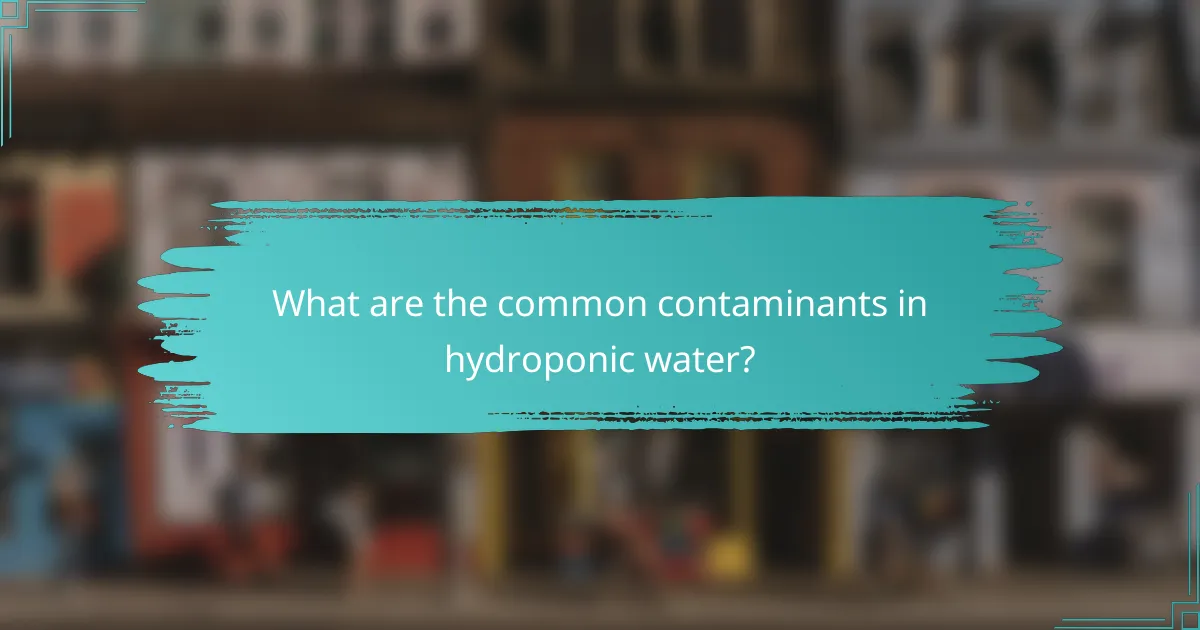 What are the common contaminants in hydroponic water?