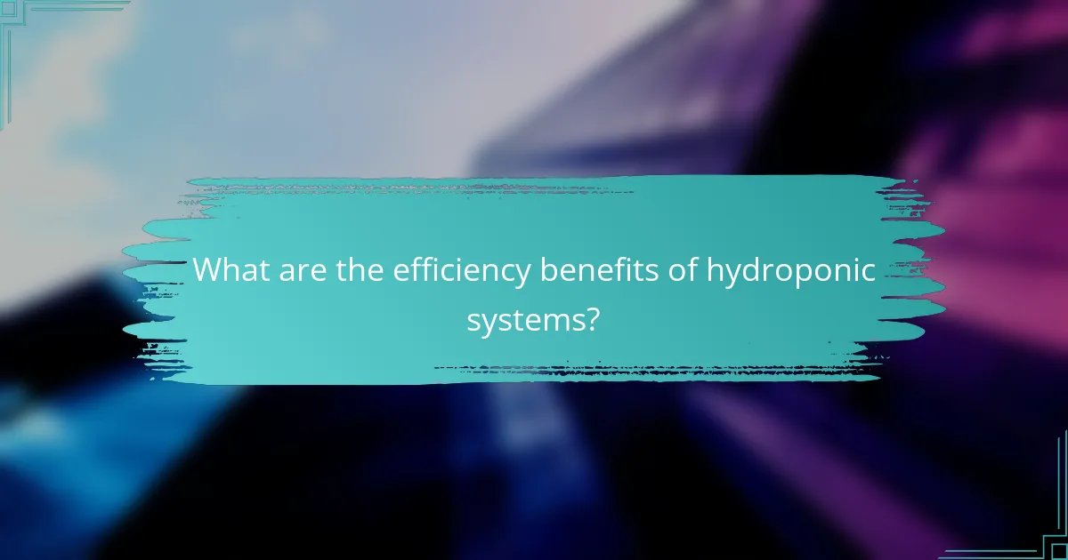 What are the efficiency benefits of hydroponic systems?