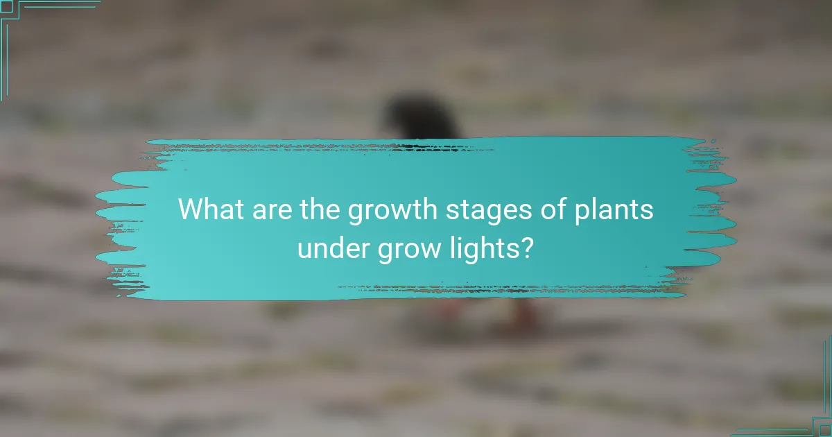 What are the growth stages of plants under grow lights?