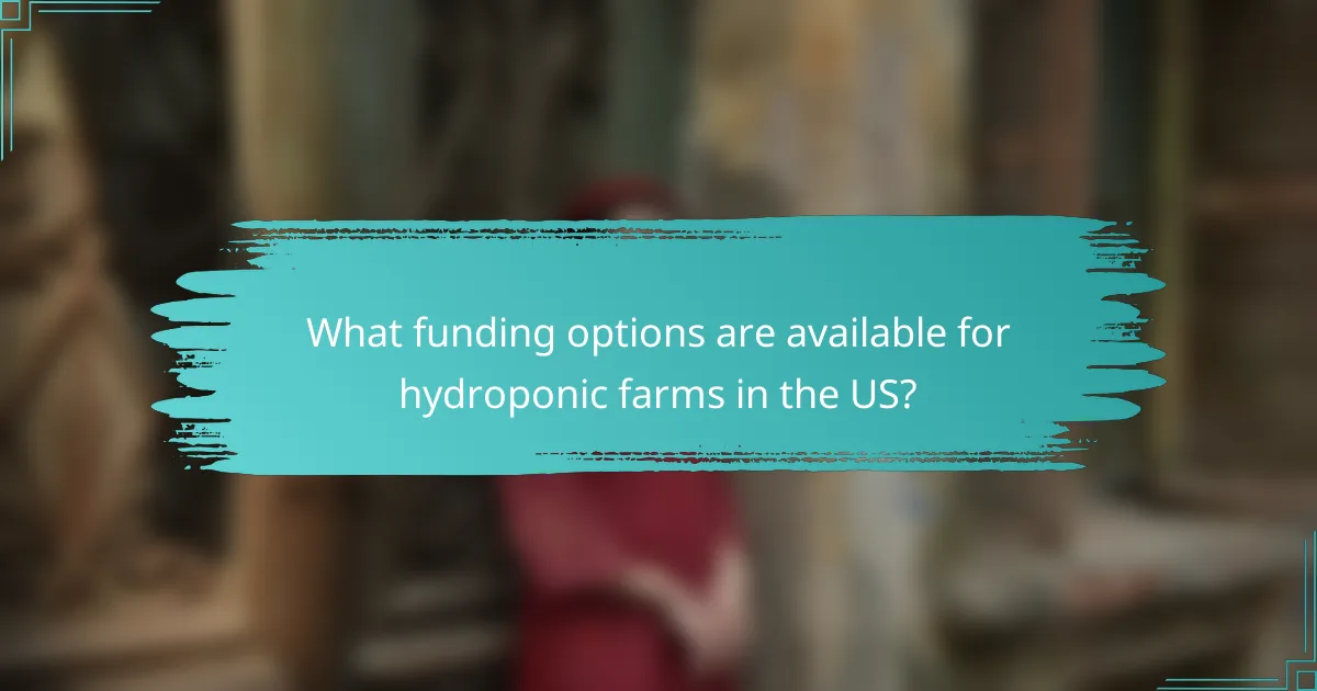 What funding options are available for hydroponic farms in the US?
