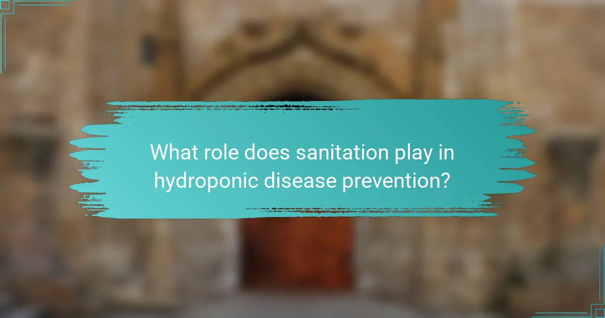 What role does sanitation play in hydroponic disease prevention?